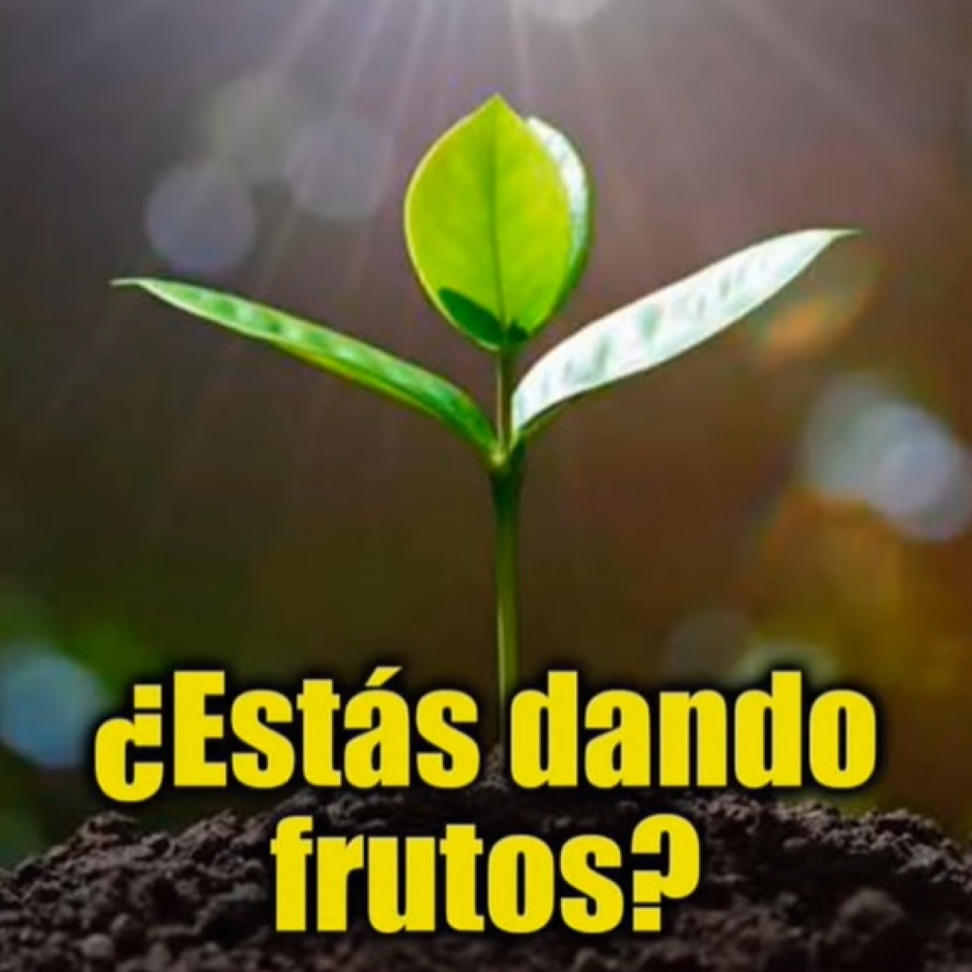 Evangelio de Hoy