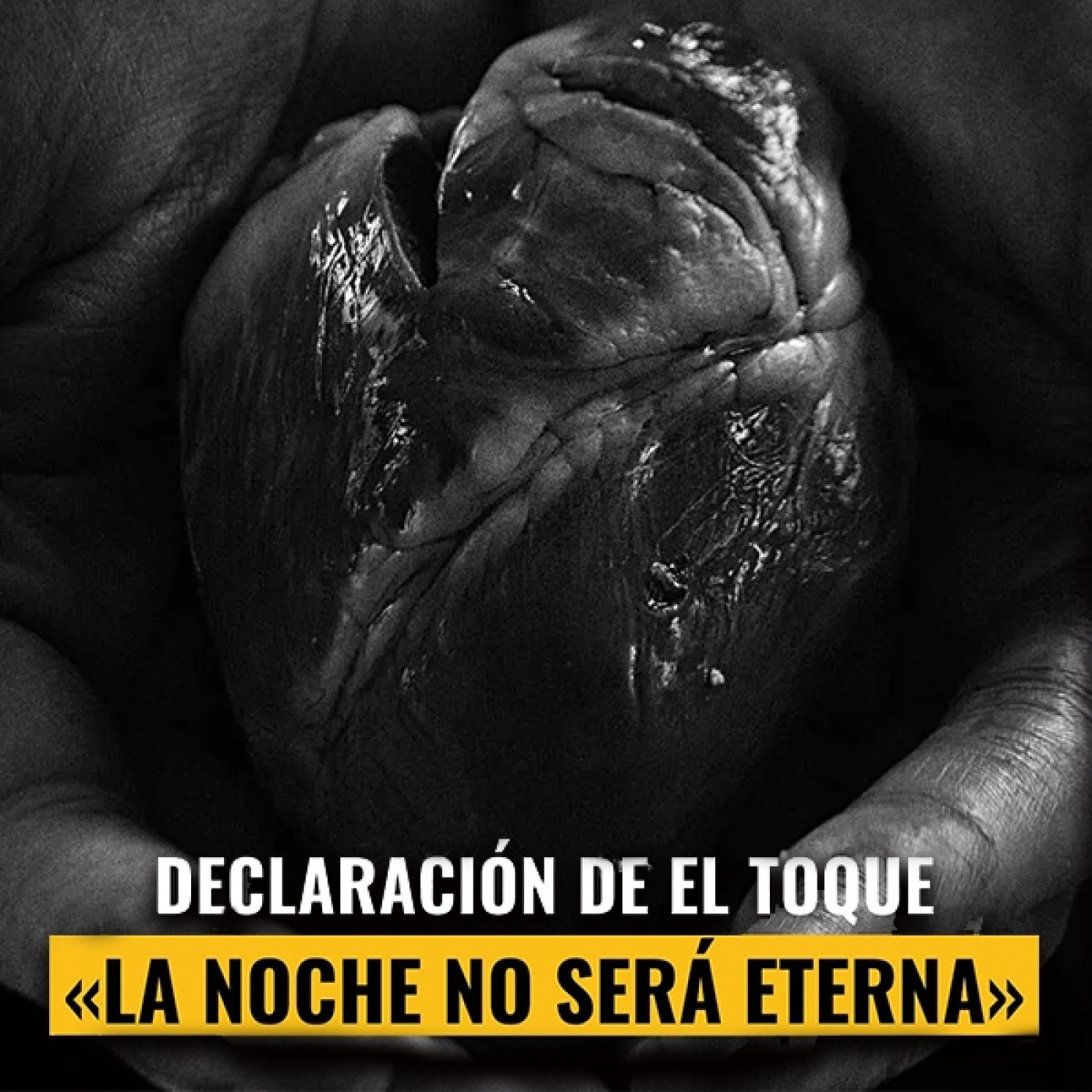elTOQUE en vivo