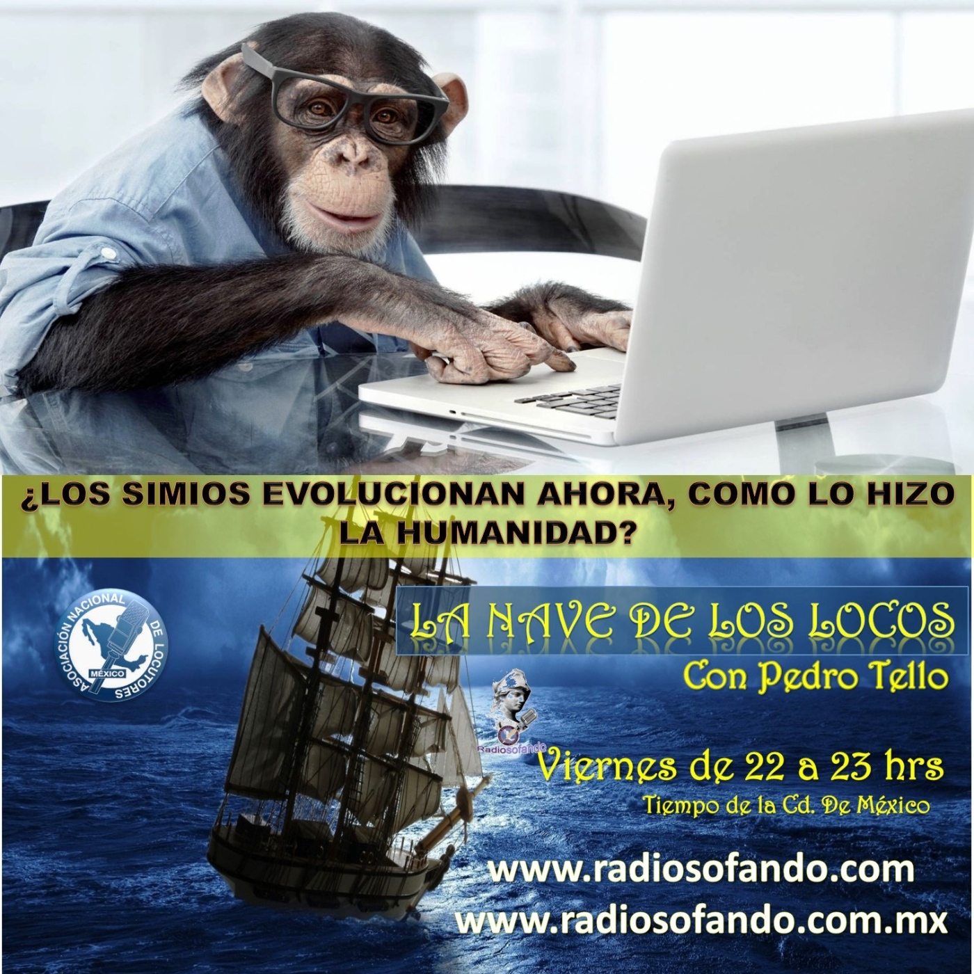 La Nave de los Locos_¿LOS SIMIOS EVOLUCIONAN AHORA, COMO LO HIZO LA HUMANIDAD?_15-11-24 episode artwork