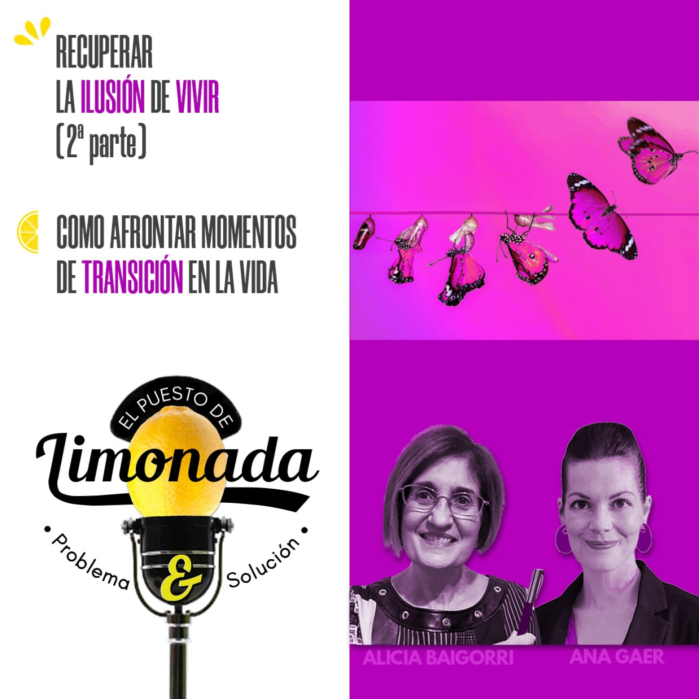 El Puesto de Limonada de P&S - Problema y Solución