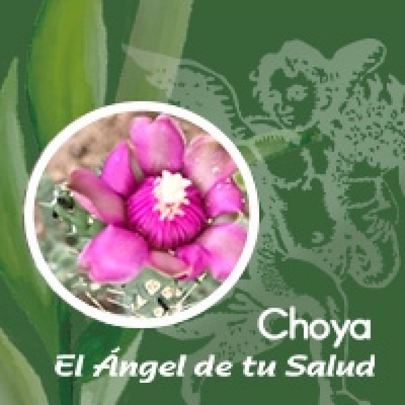 El Ángel de tu Salud - Choya ** episode artwork