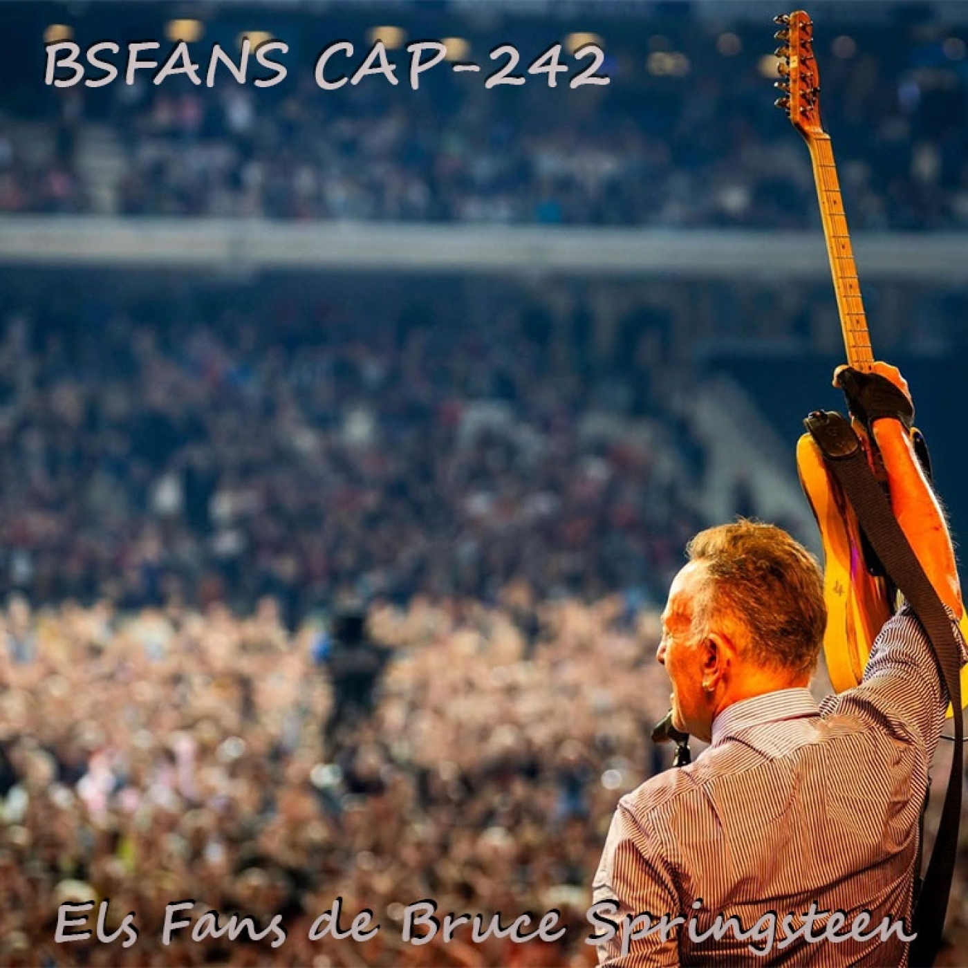 BSFANS CAP-242 always by your side