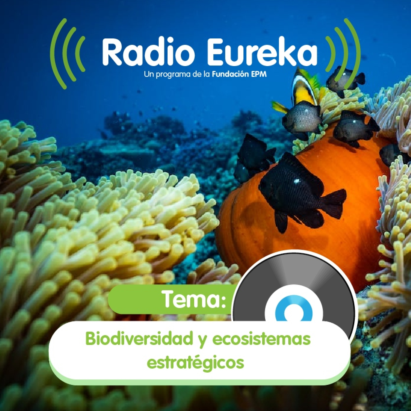 Radio Eureka