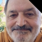 embed image