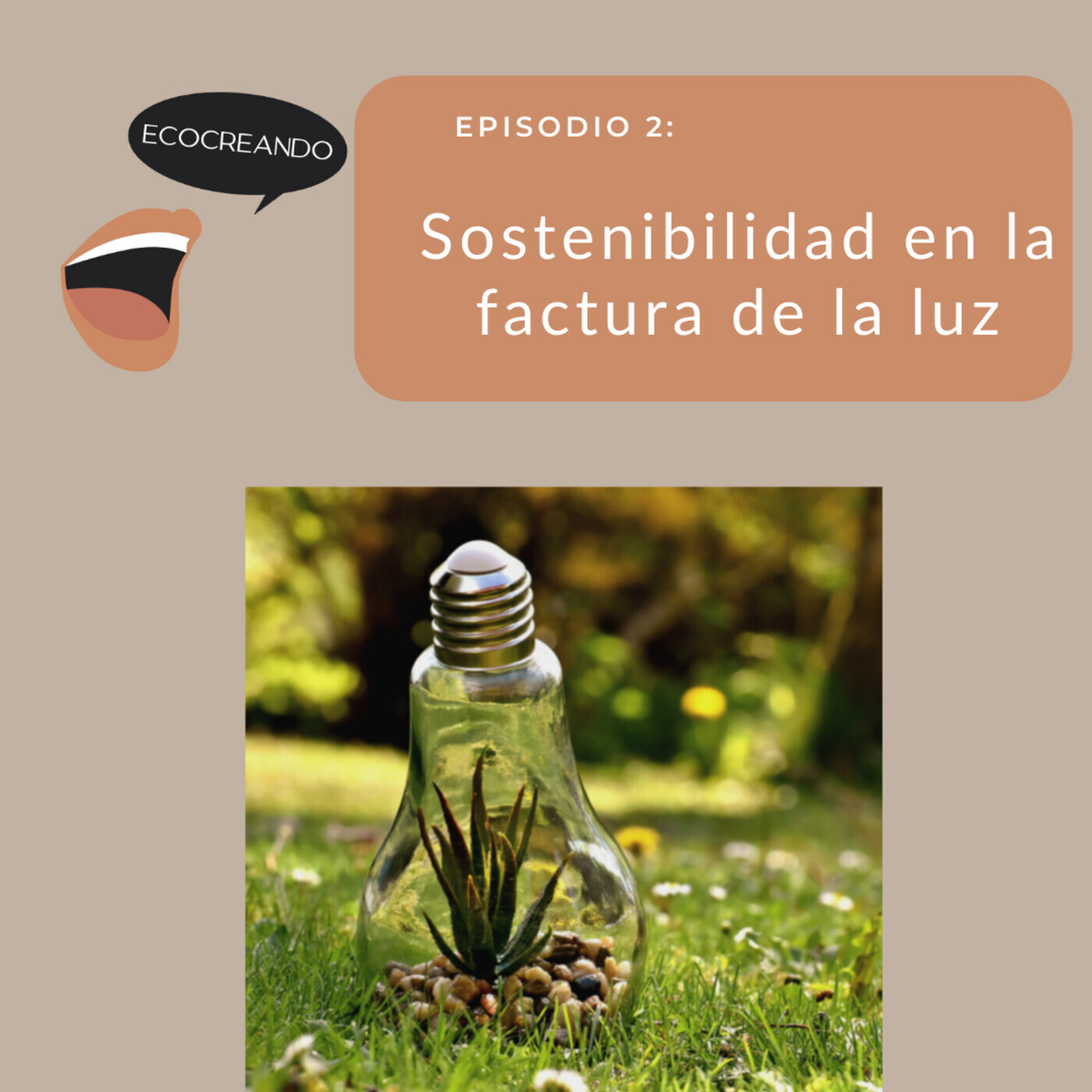 Episodio 2: Sostenibilidad en la factura de la luz