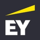 embed image