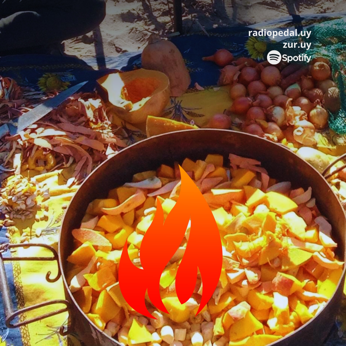 Dm #92: Programa completo: Comida y pedagogías rumiantes (26-04-23) episode artwork