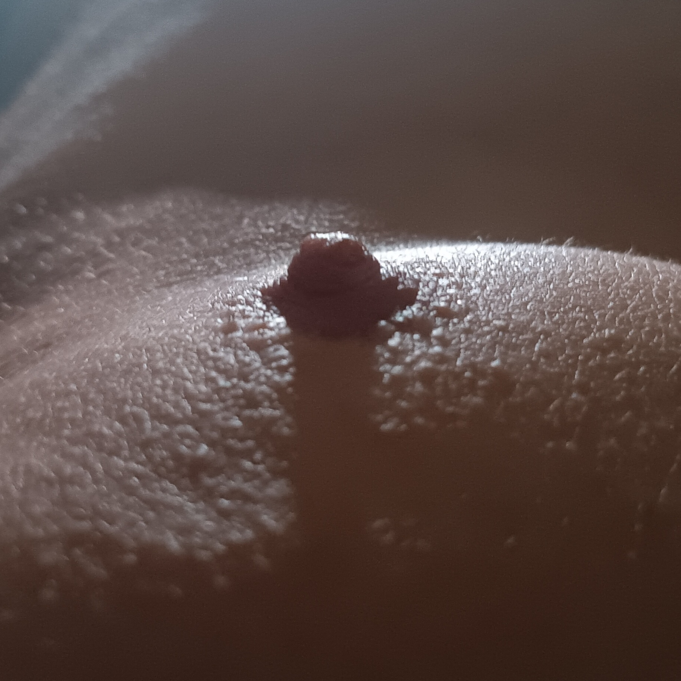 Relatos Eroticos del Gloton4you