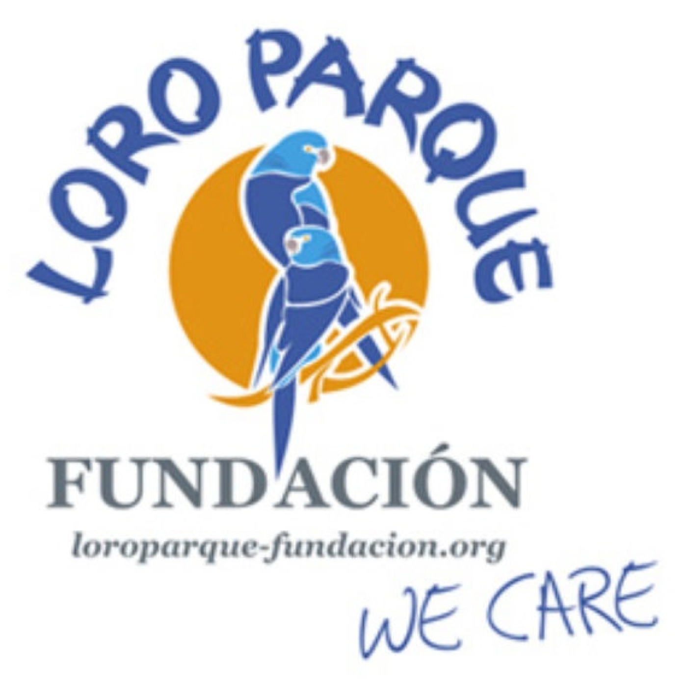 Cacatúa Colirroja (27-11-2025)