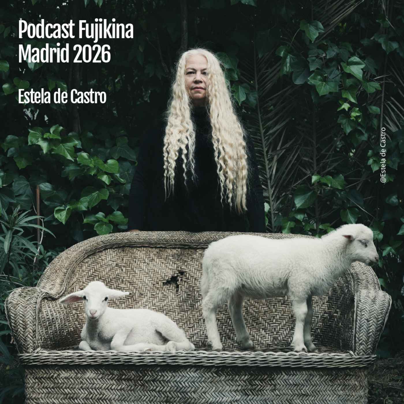 Fotografía, activismo y el poder del retrato, con Estela de Castro