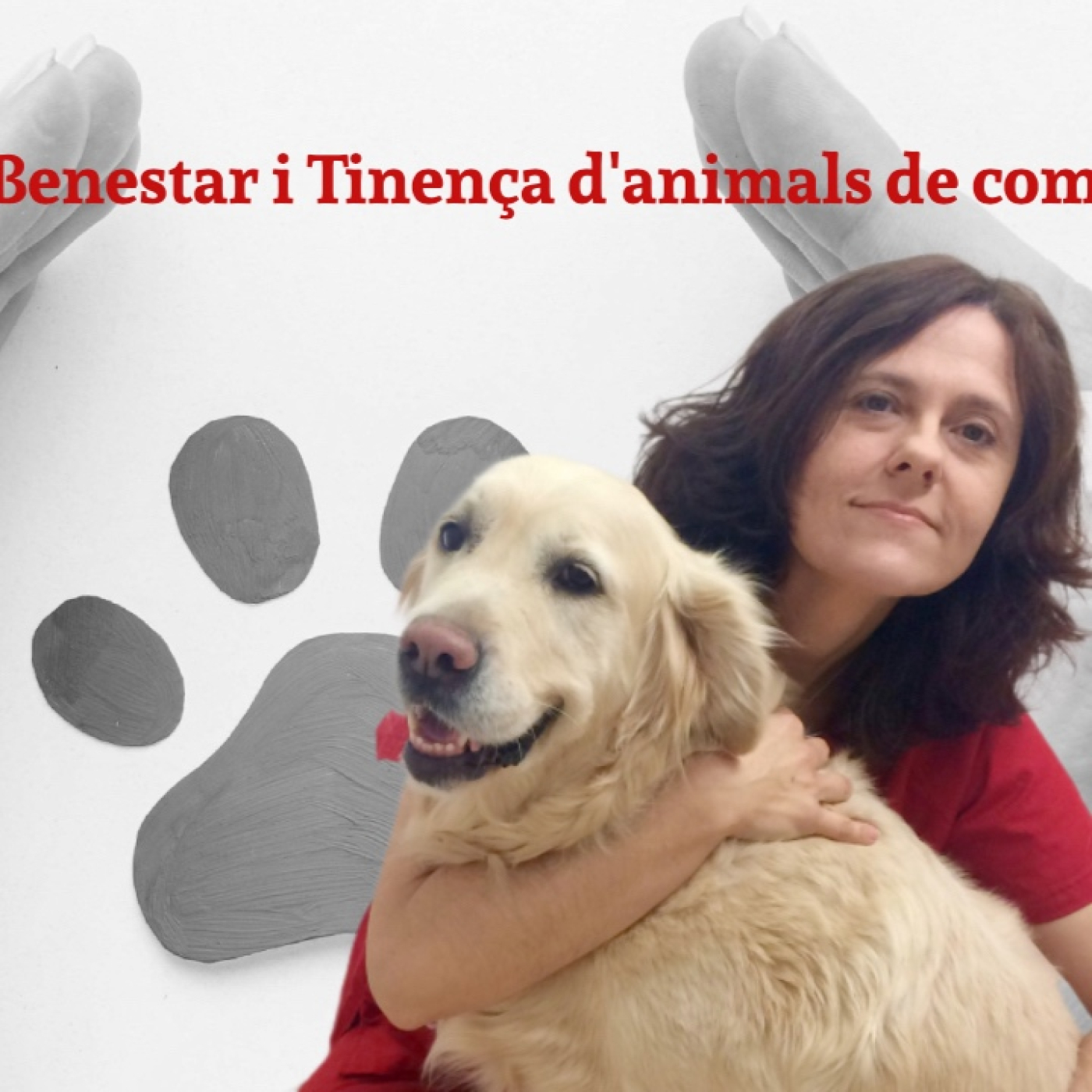 Susana Vidal, veterinària ens parla de la "Aprovació Llei de Benestar Animal Valenciana" episode artwork