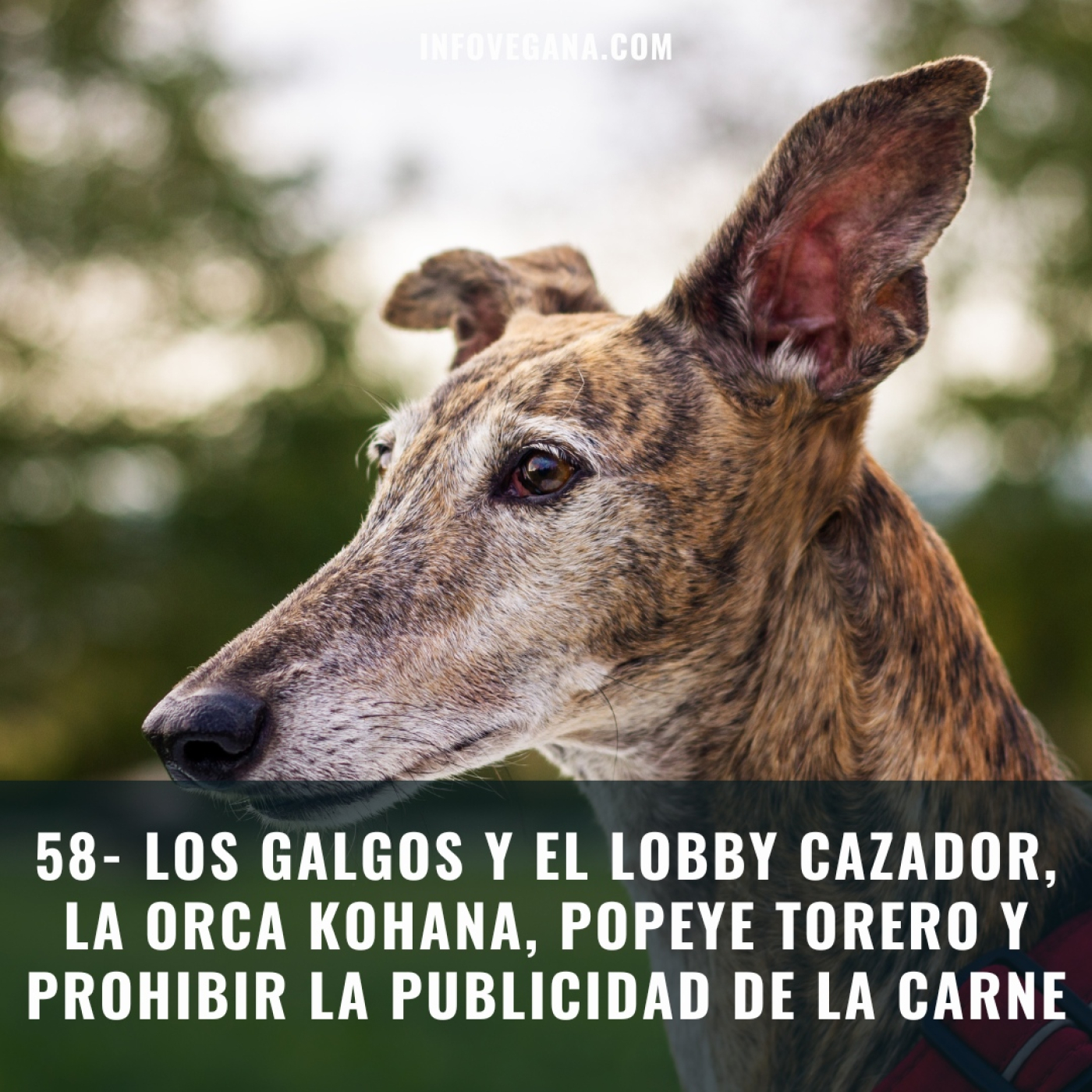 Infovegana, podcast de veganismo y sostenibilidad