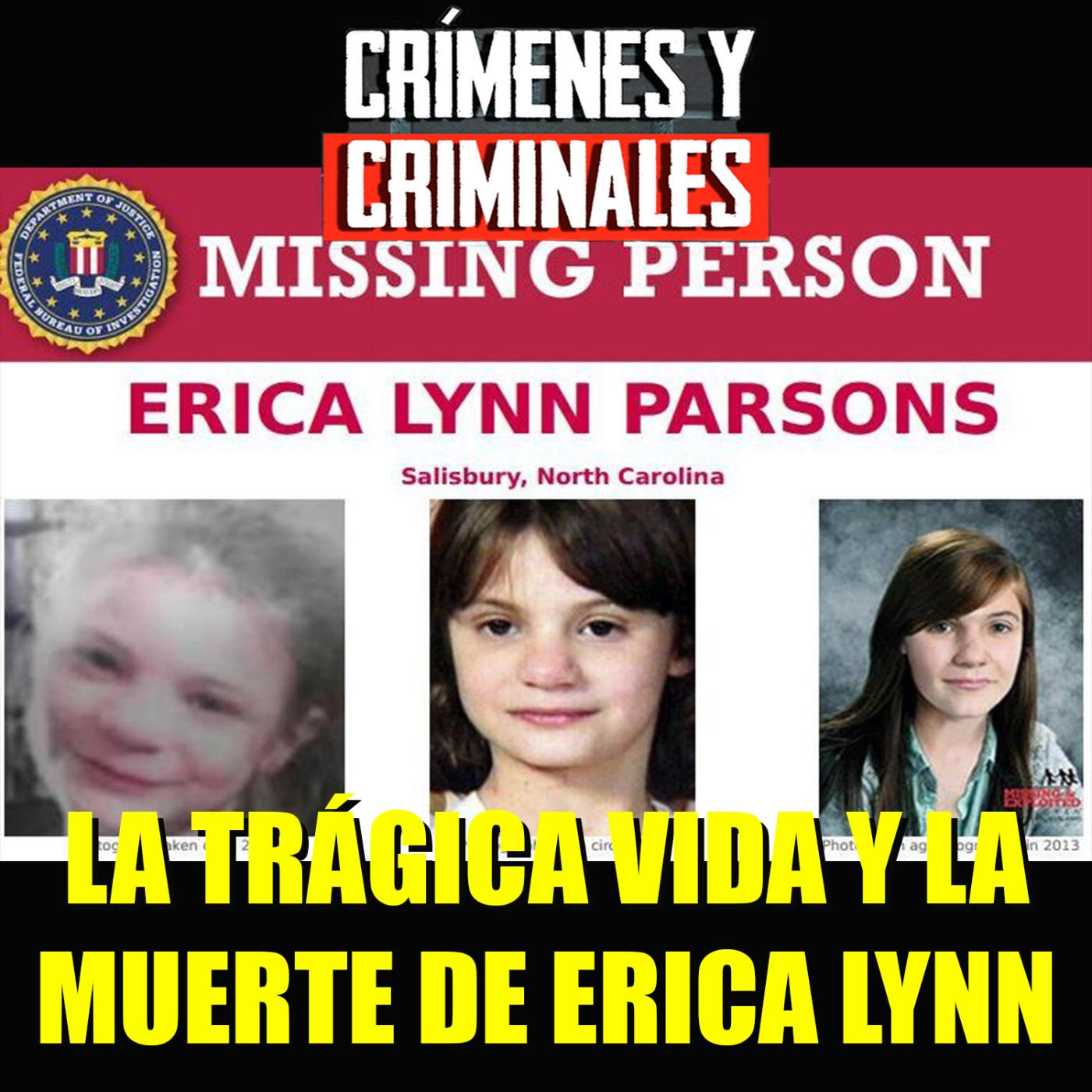 Un caso trágico: la vida y la muerte de Erica Lynn