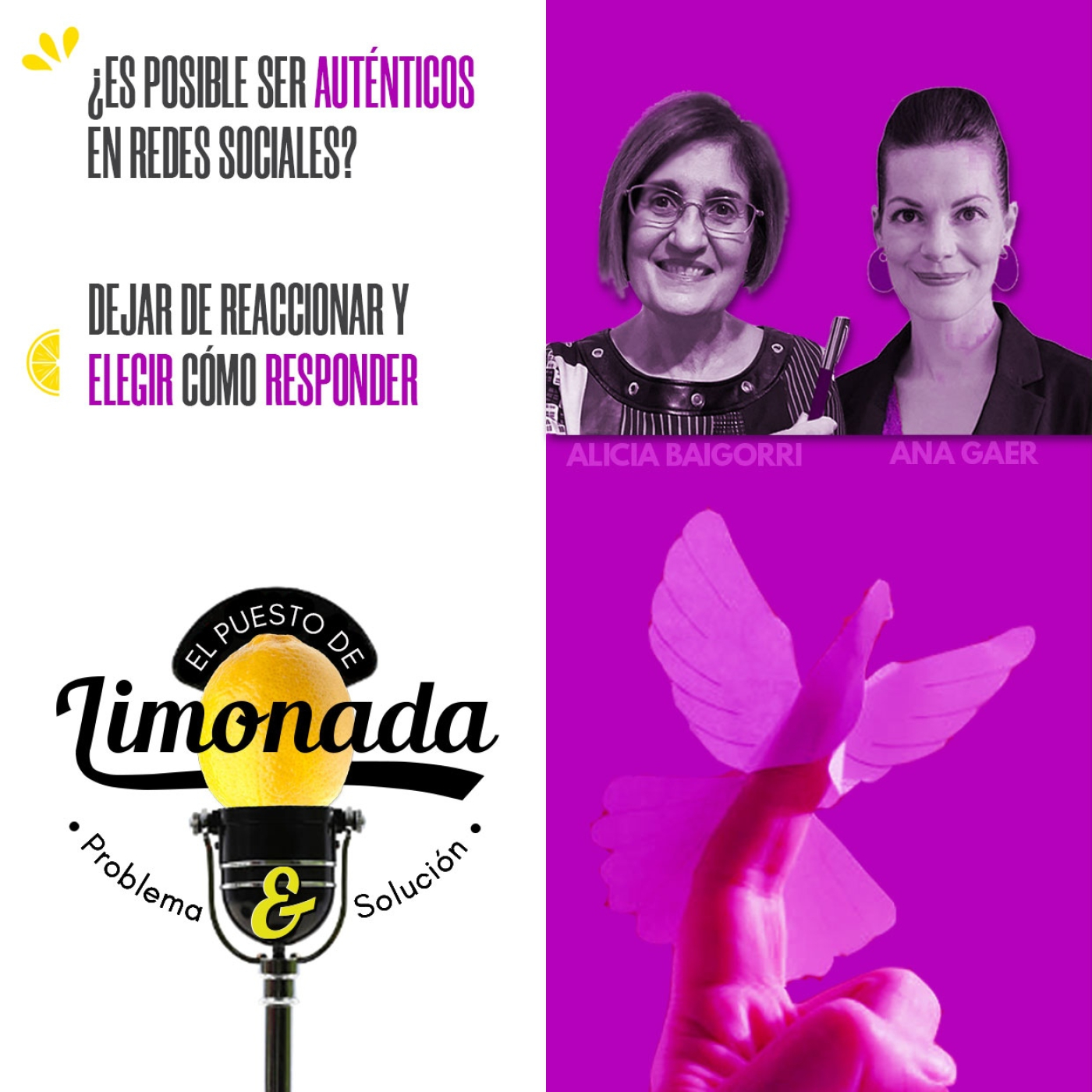 El Puesto de Limonada de P&S - Problema y Solución