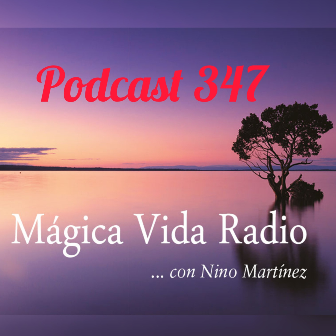 Mágica Vida Radio