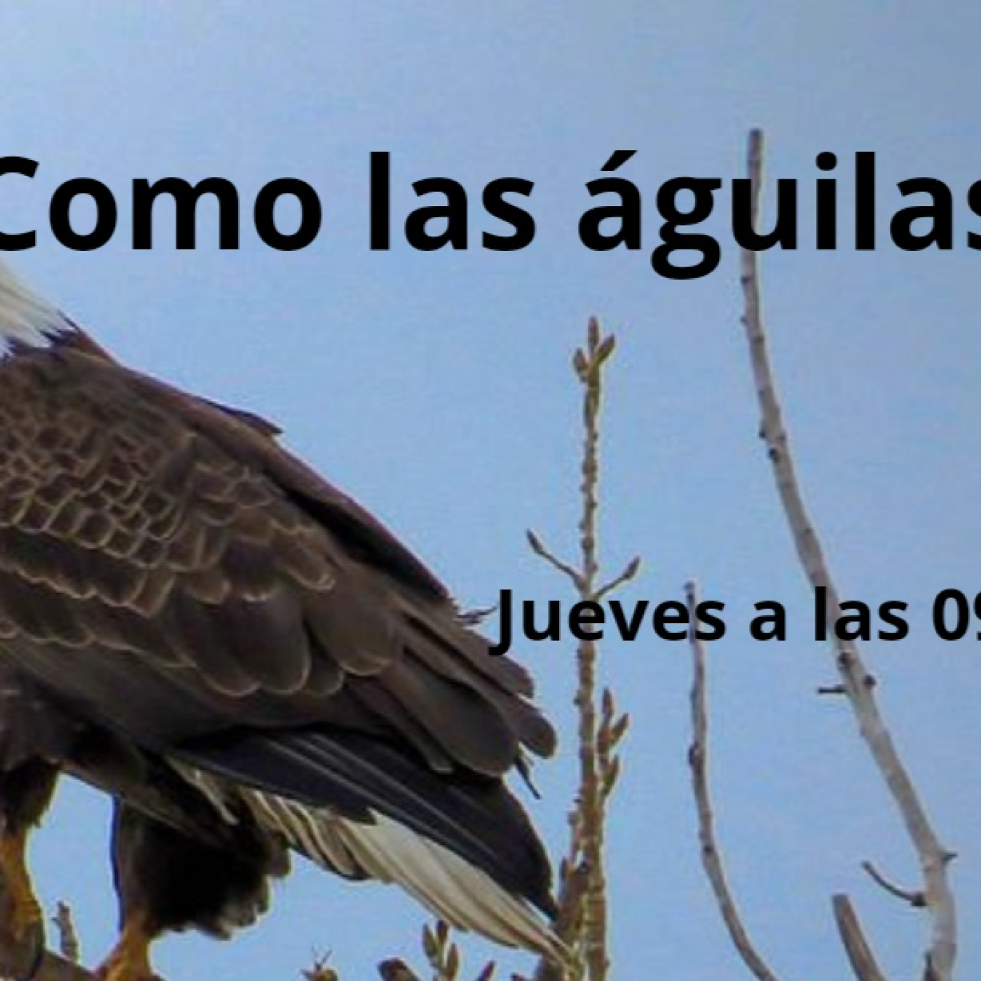 UNA VOZ EN ORACIÓN