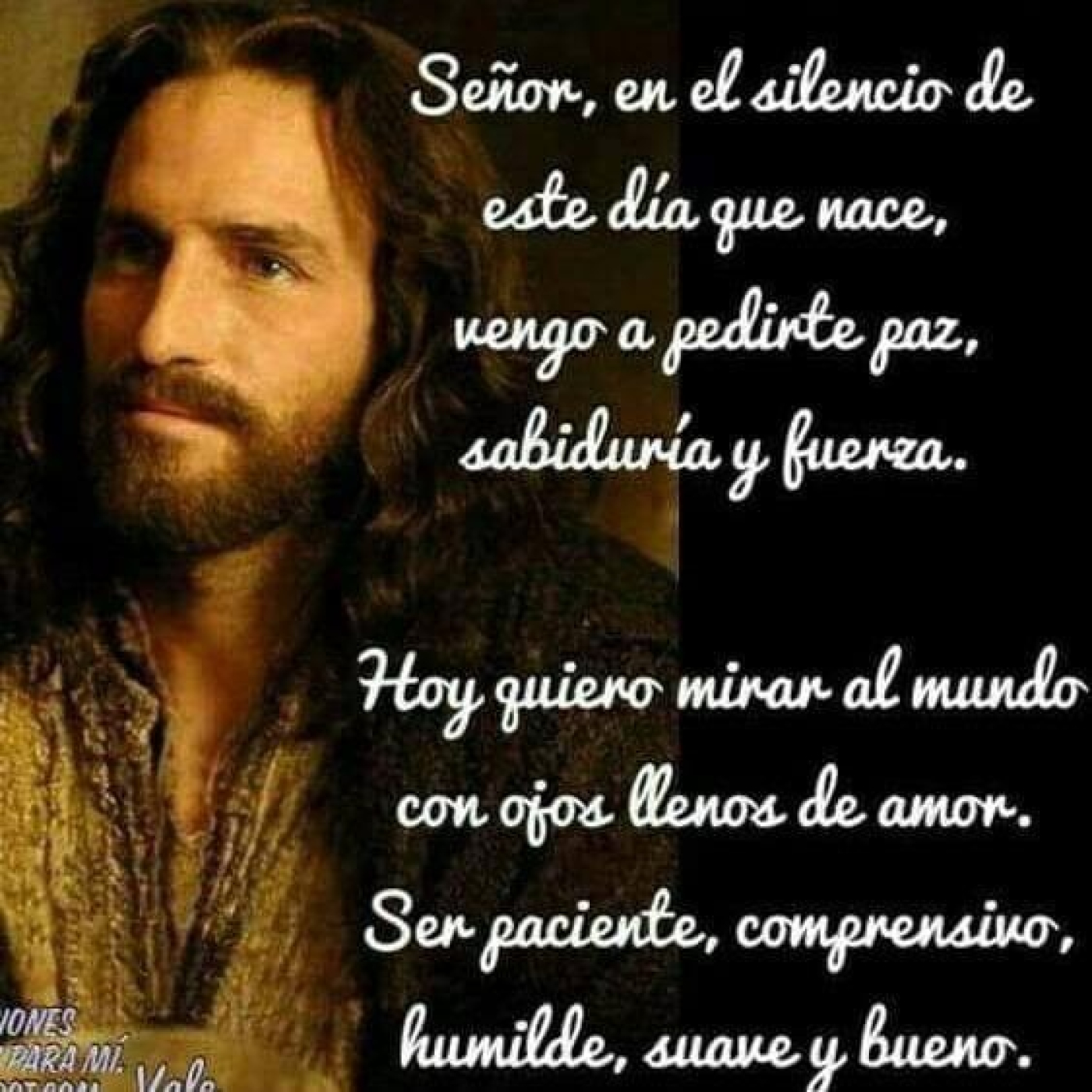 MEDITACIONES. 1er Viernes, otras. D. L.M Castillo