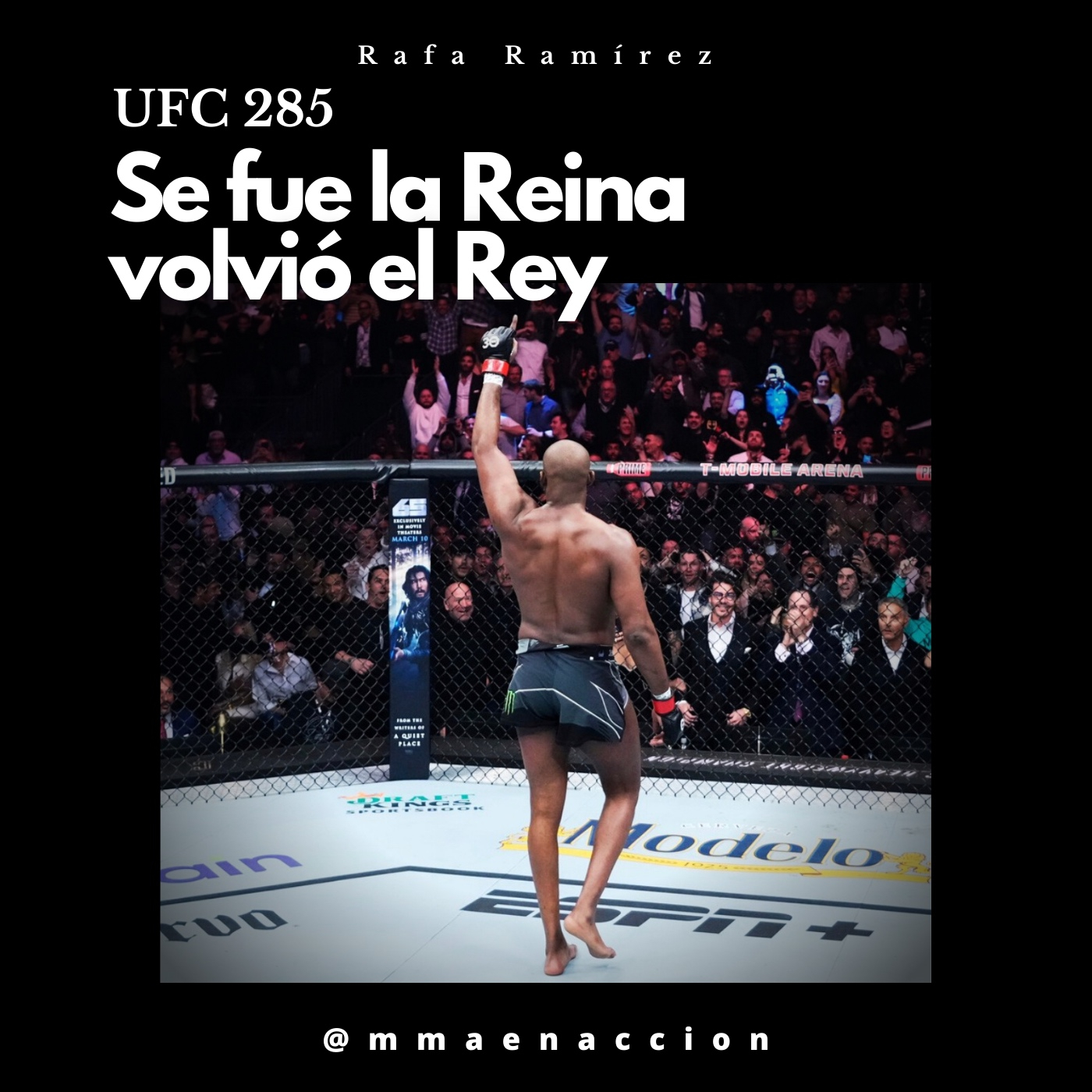 MMA en acción