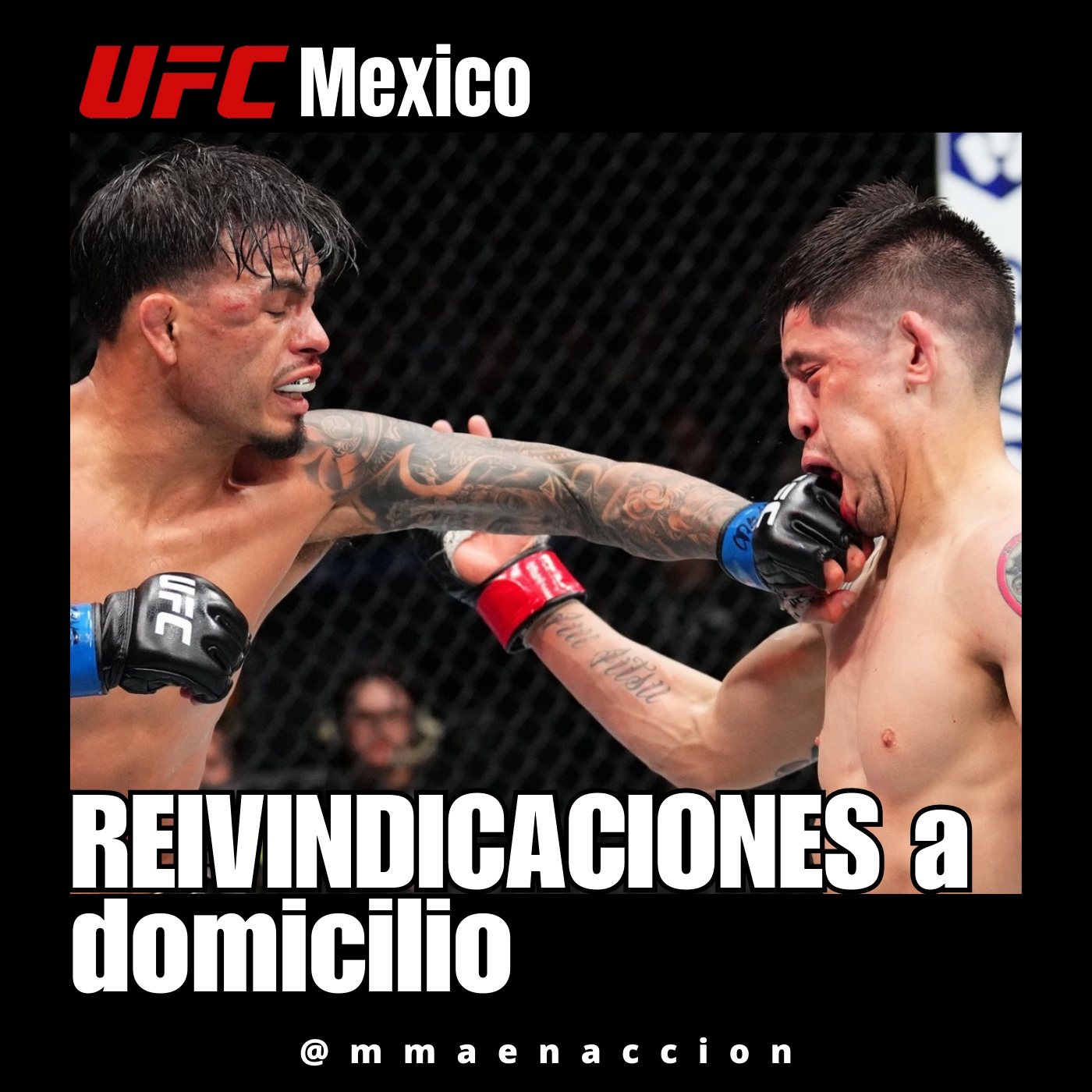 MMA en acción