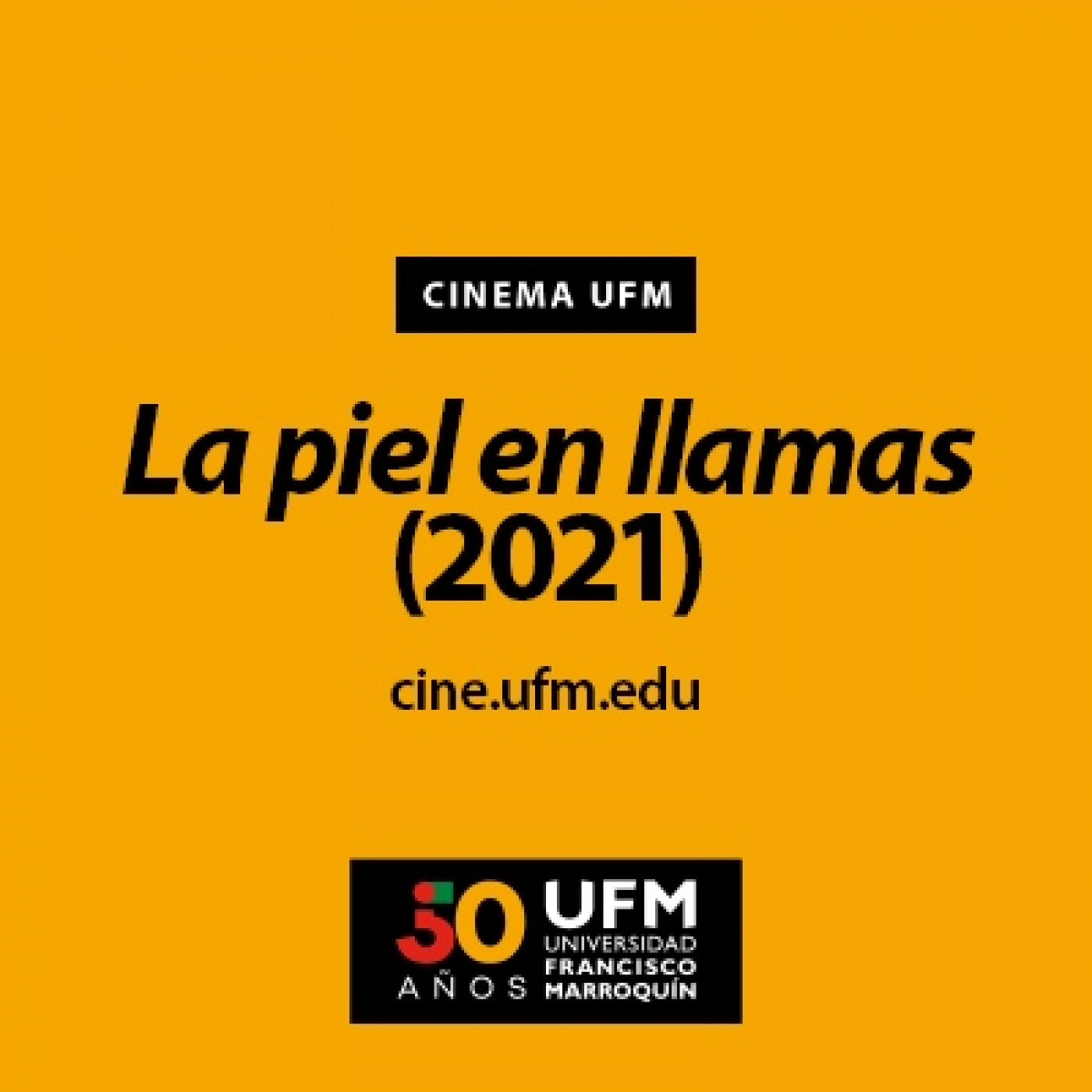 Cinéfilos: Escuela de Cine y Artes Visuales