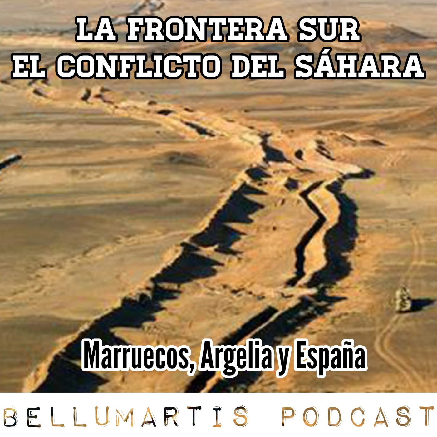 LA FRONTERA SUR, EL CONFLICTO DEL SÁHARA. Marruecos, Argelia y España una compleja vecindad * Jesús M. Pérez Triana*