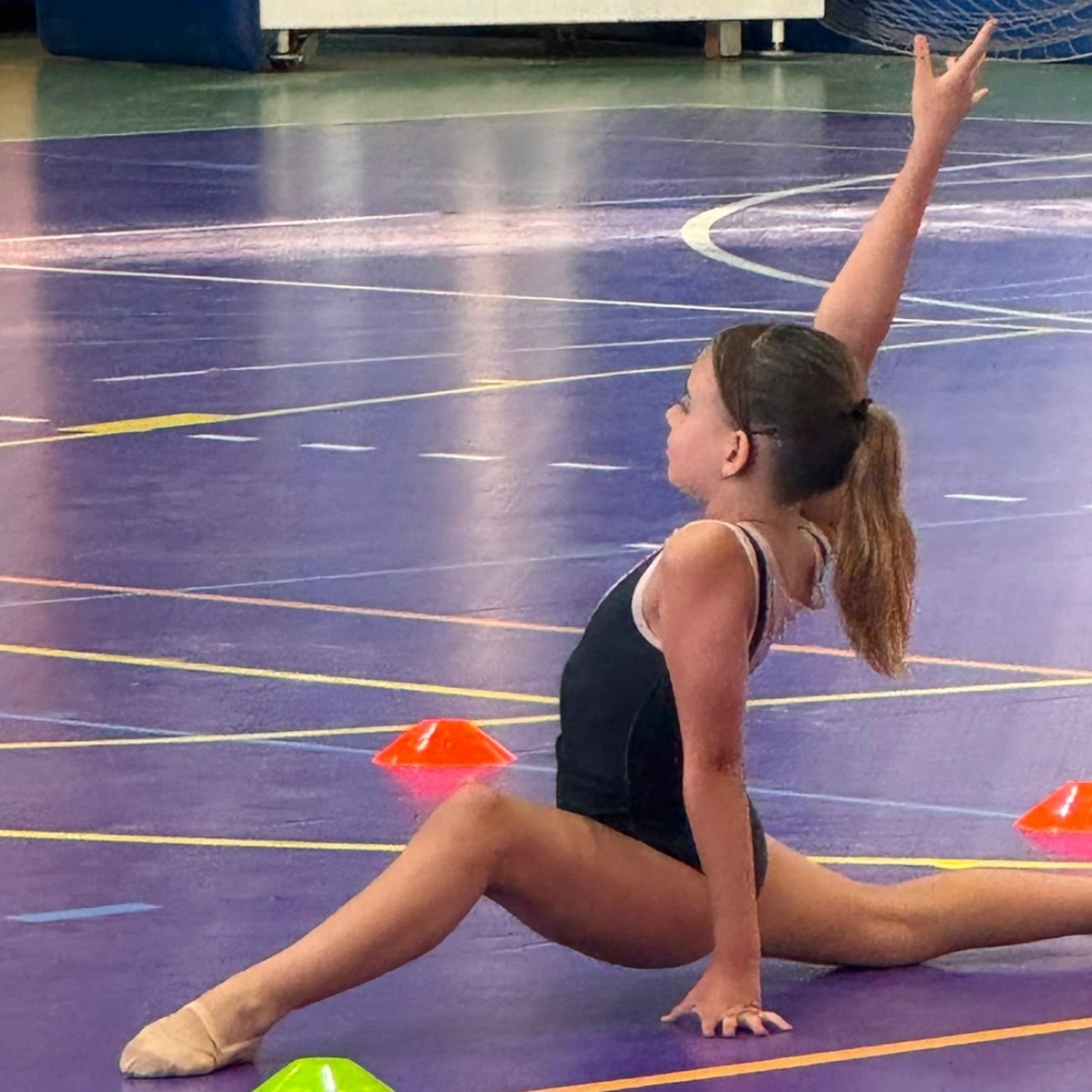 El club de gimnasia rítmica celebra su fiesta de final de curso episode artwork