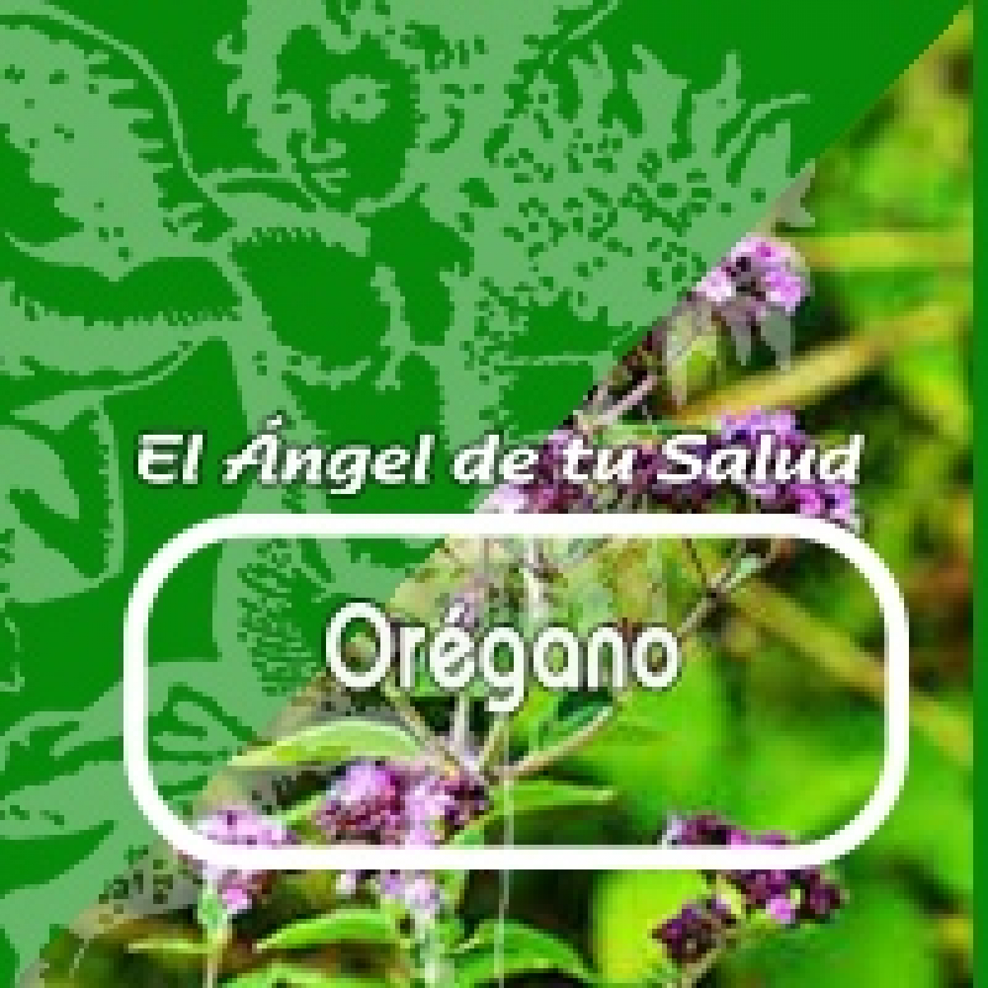El Ángel de tu Salud - ORÉGANO*** episode artwork