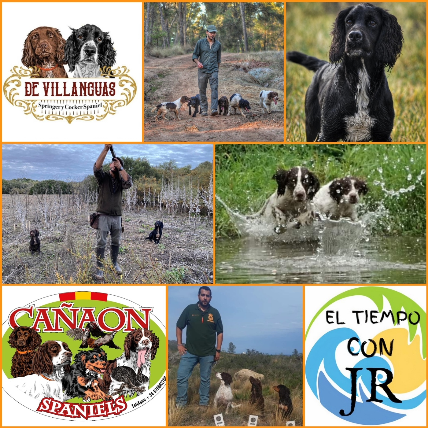EL MORRAL DEL CAZADOR 31-05-2024 PROG 378 "CAZANDO CON SPRINGER Y COCKER SPANIEL"