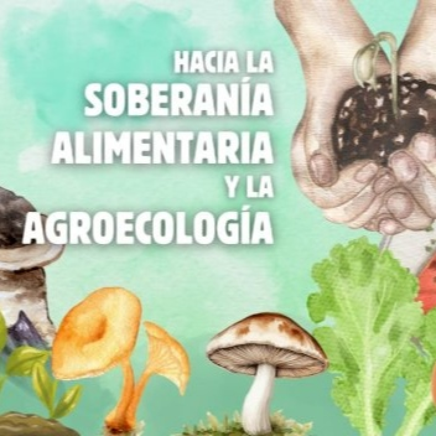 Eco Vida Ambiente