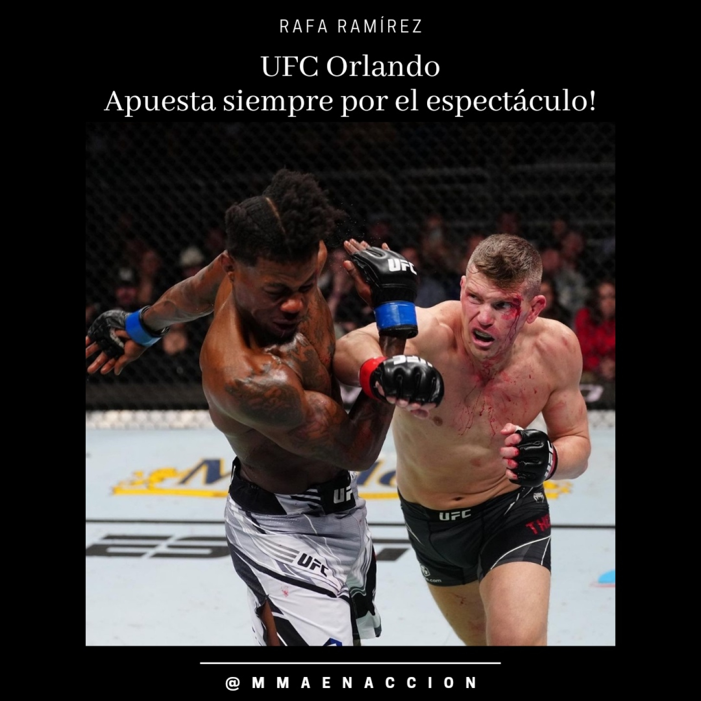 MMA en acción