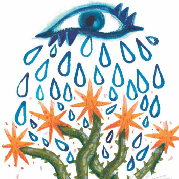 embed image