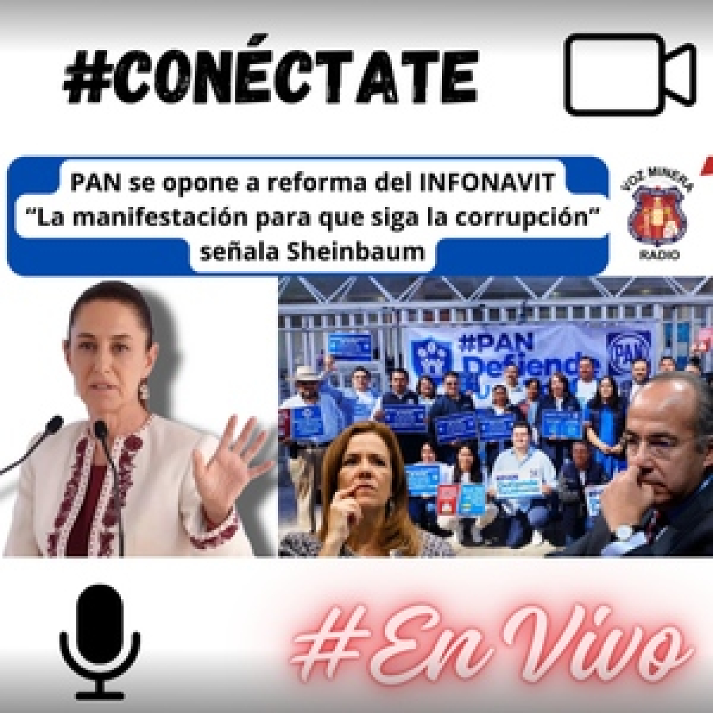 Voz Minera MX