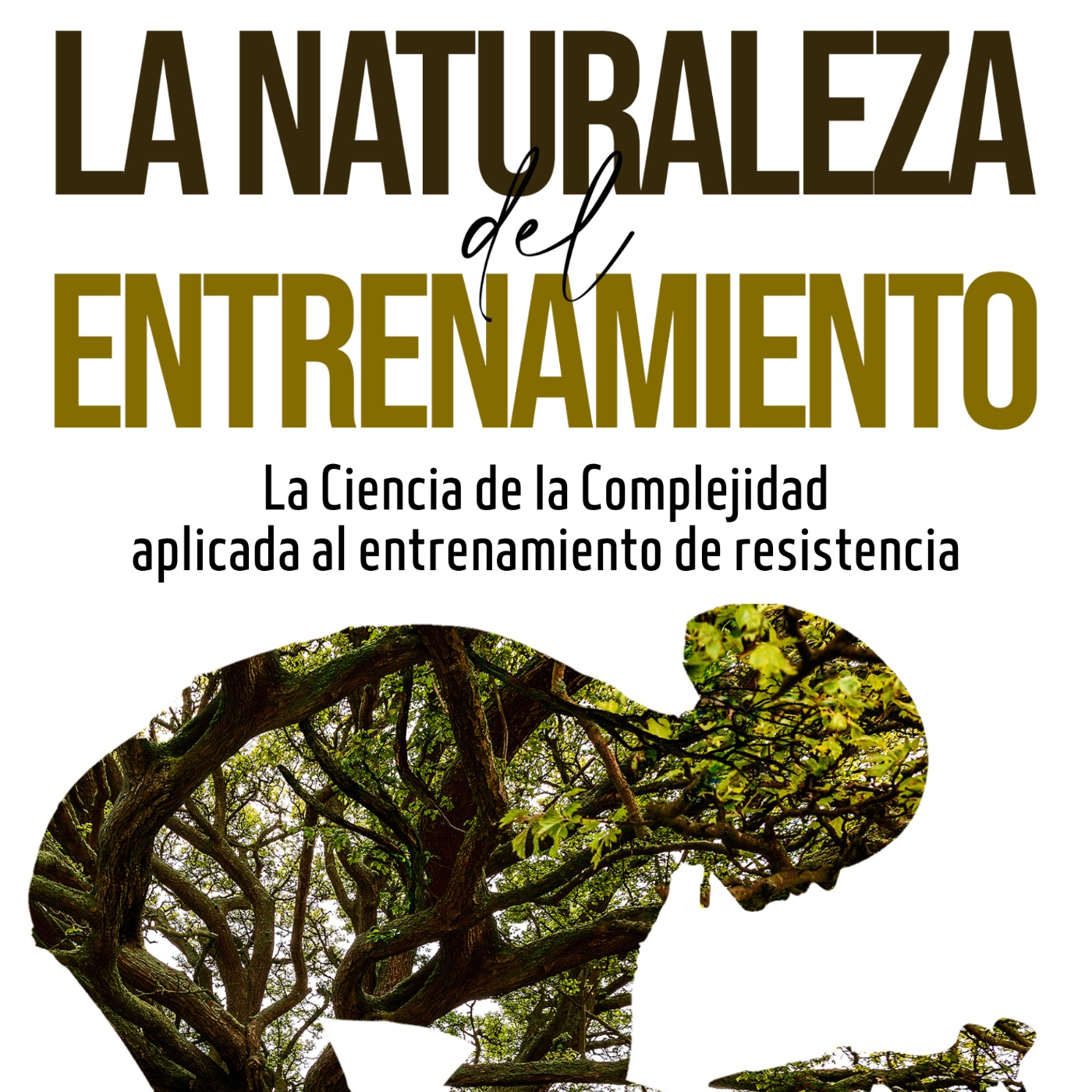 Rendimiento Evolutivo