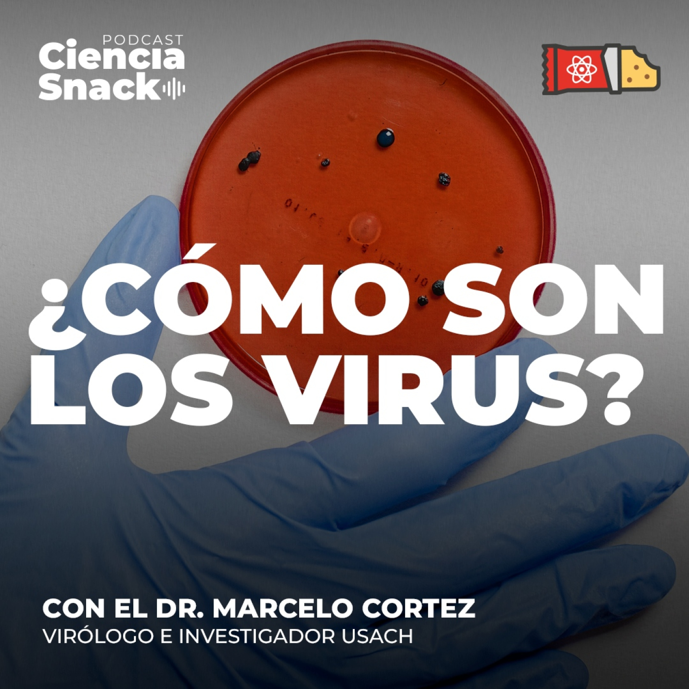 Podcast Ciencia Snack 🍟🧬