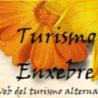 embed image