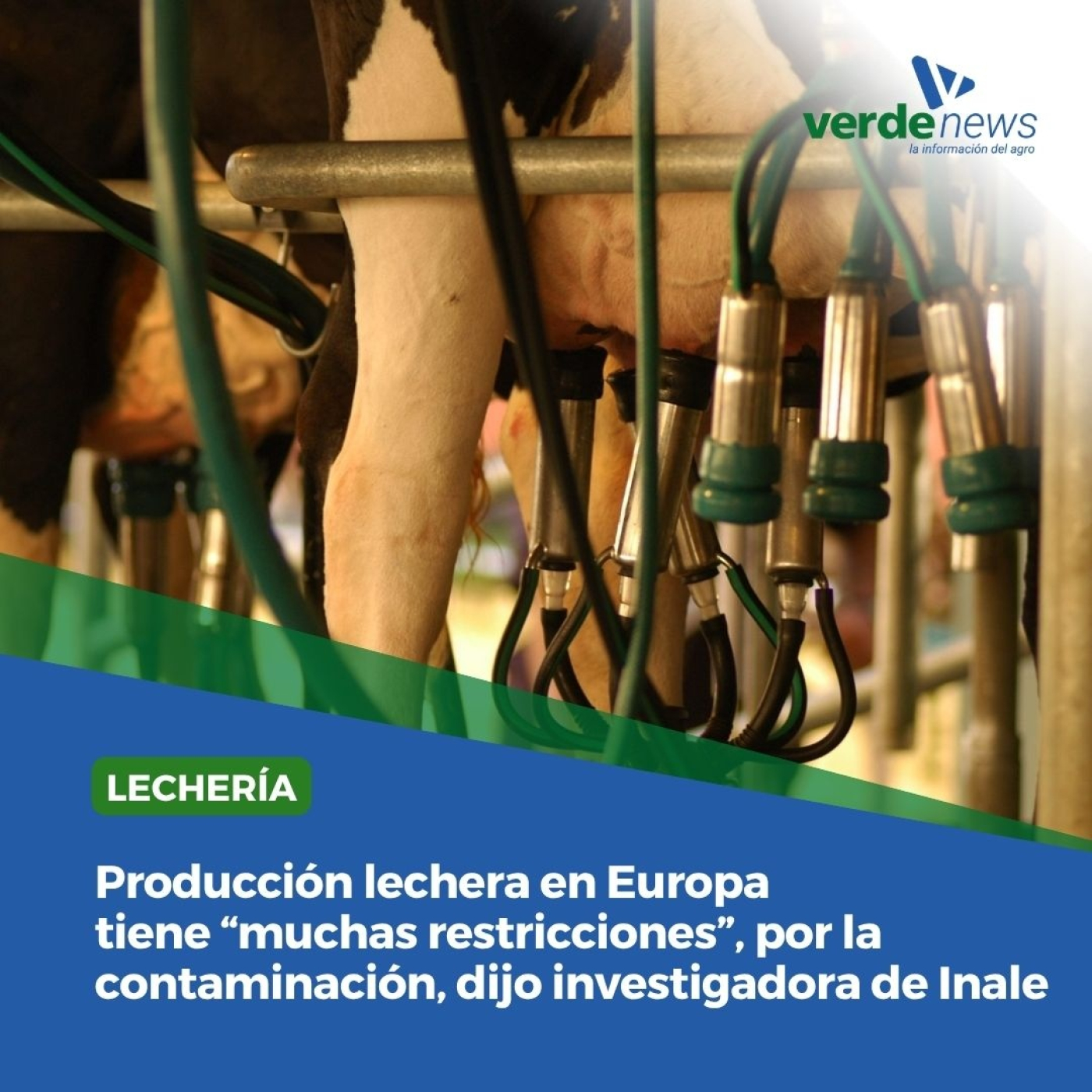 Ana Pedemonte - investigadora del Instituto Nacional de la Leche INALE - 30/05/25 episode artwork