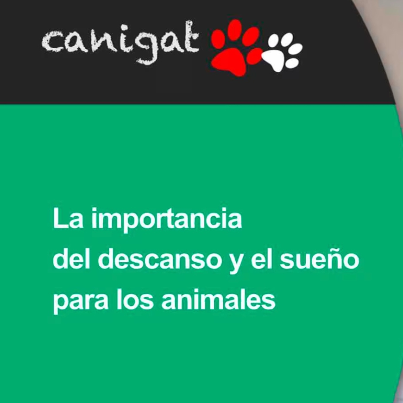 Consejos veterinarios de perros y gatos by canigat