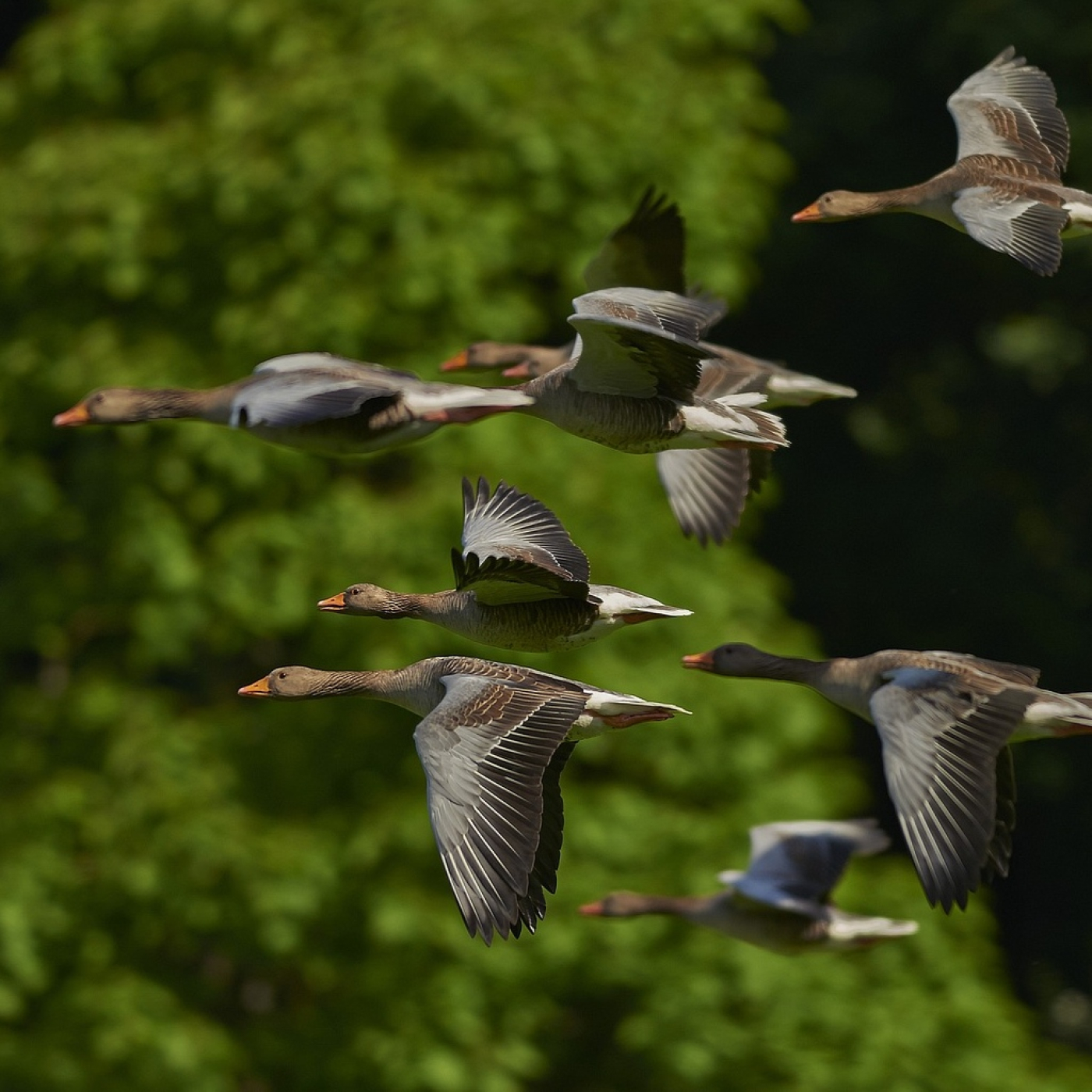 Radio Encuentro: SOLIDARIDAD