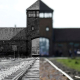 embed image