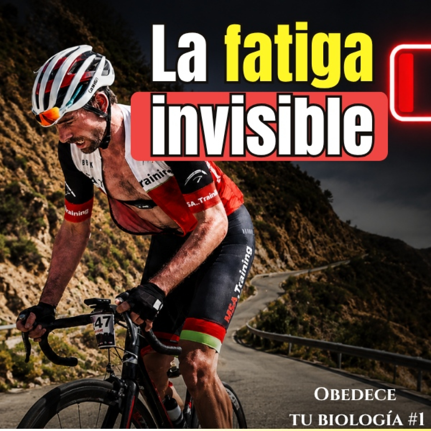 296. Los TSS diarios que TrainingPeaks no puede ver. episode artwork