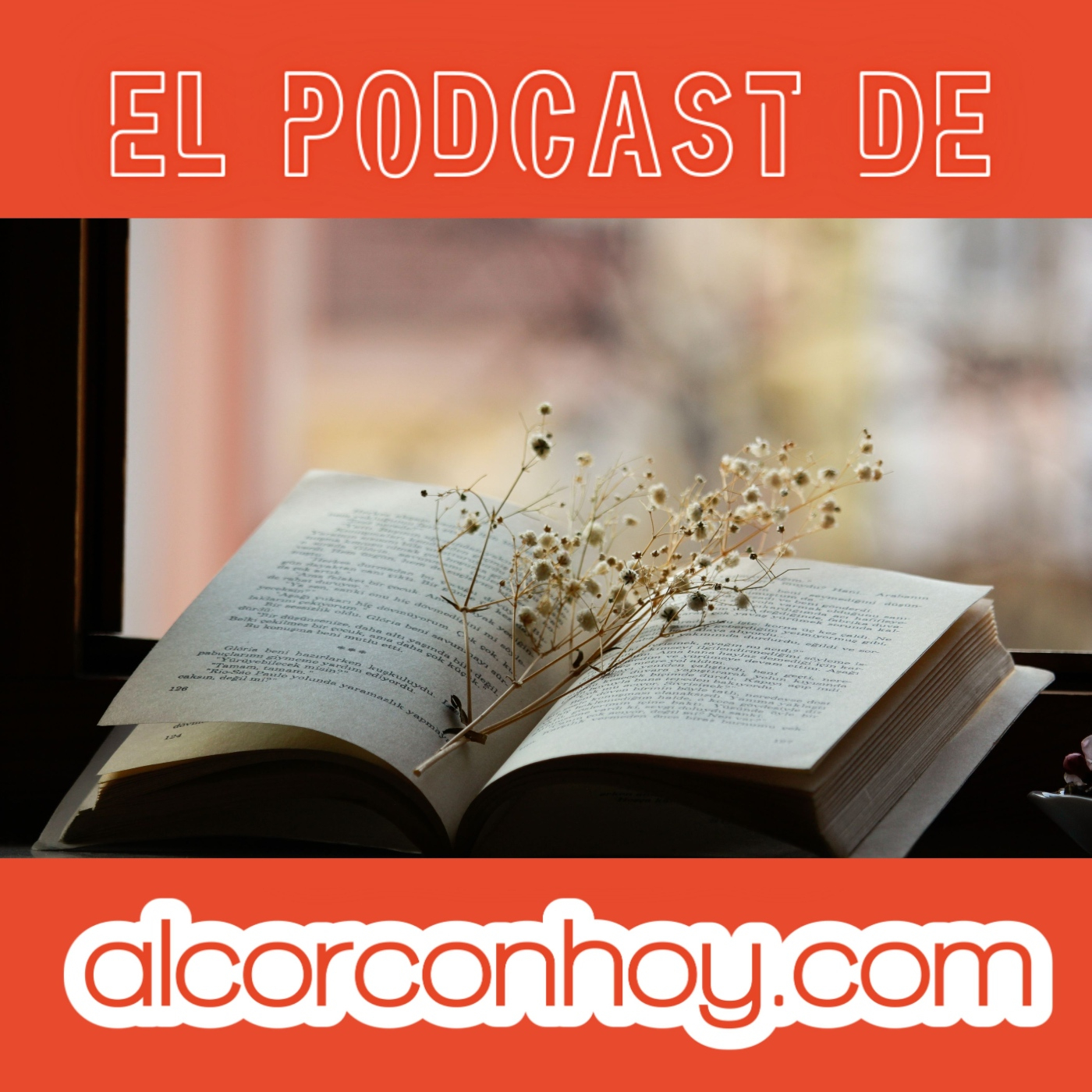 alcorconhoy.com - Tus noticias de Alcorcón