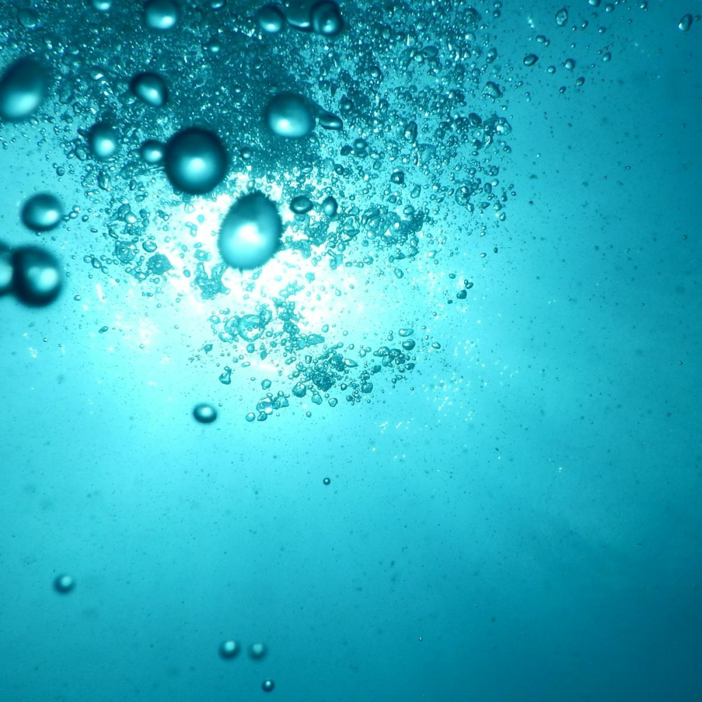 Roger Àlvarez Meditación