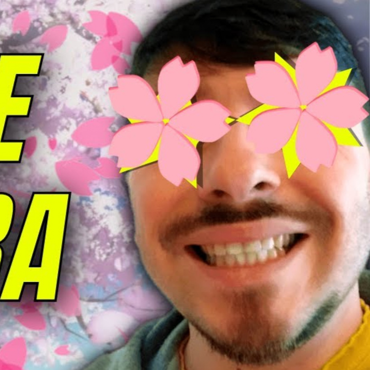 El Show de Los Otakus