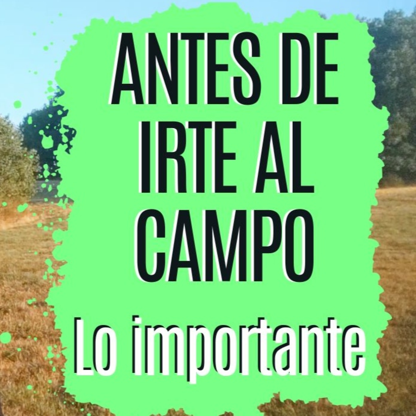 Irse al campo hoy: lo que DE VERDAD NECESITAS tener claro