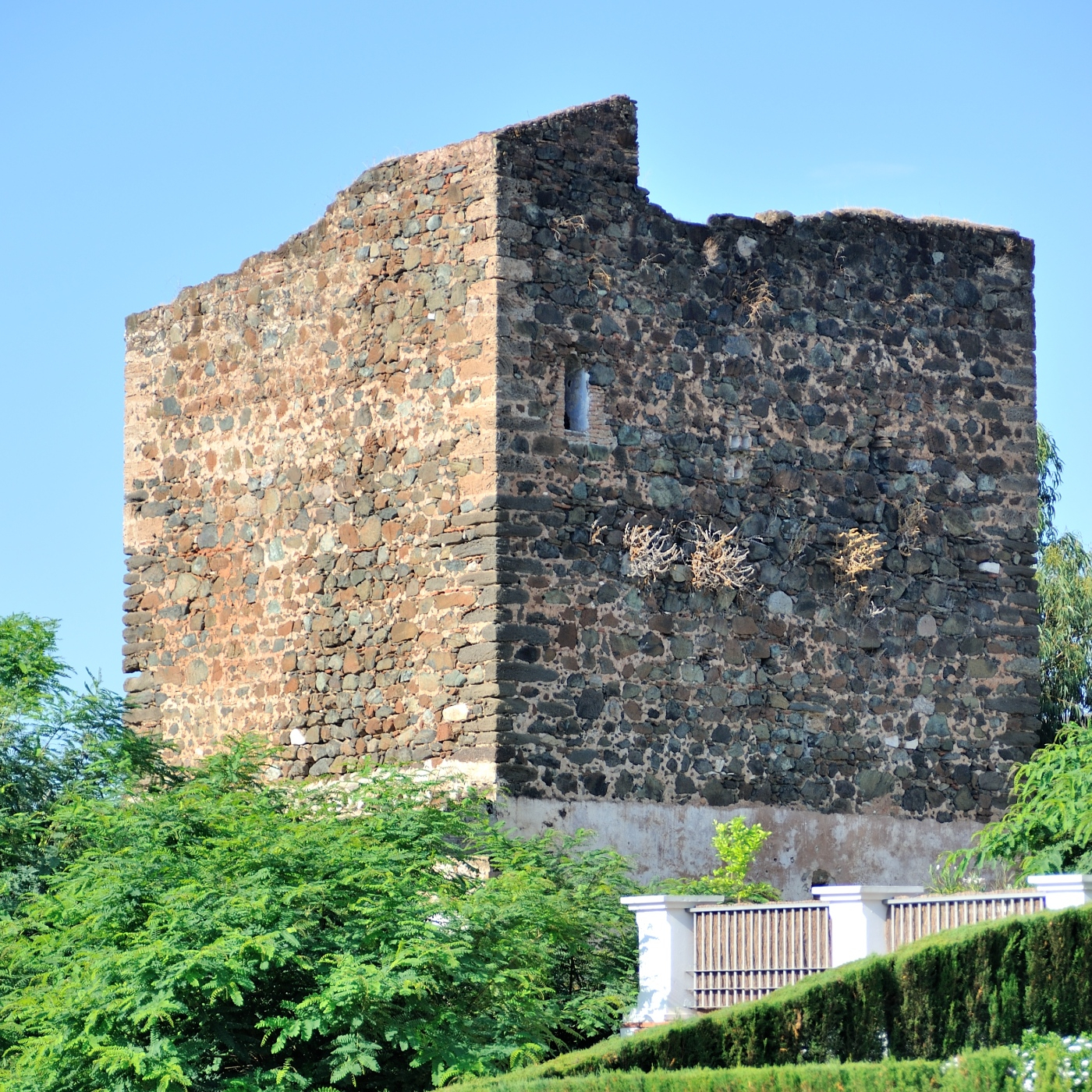 Crónicas de San Pedro Alcántara
