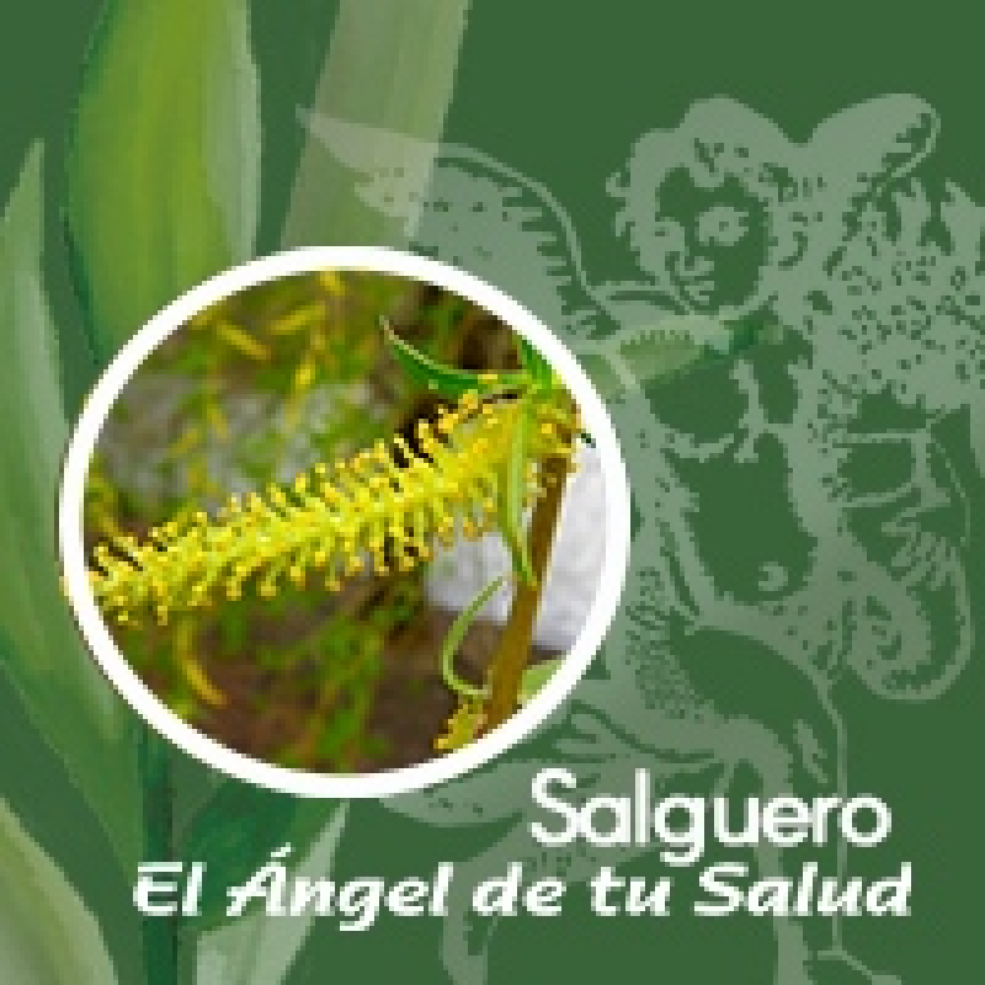 El Ángel de tu Salud - Salguero** episode artwork