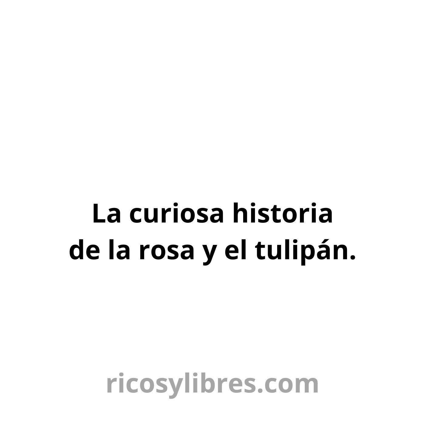 Ricosylibres.com