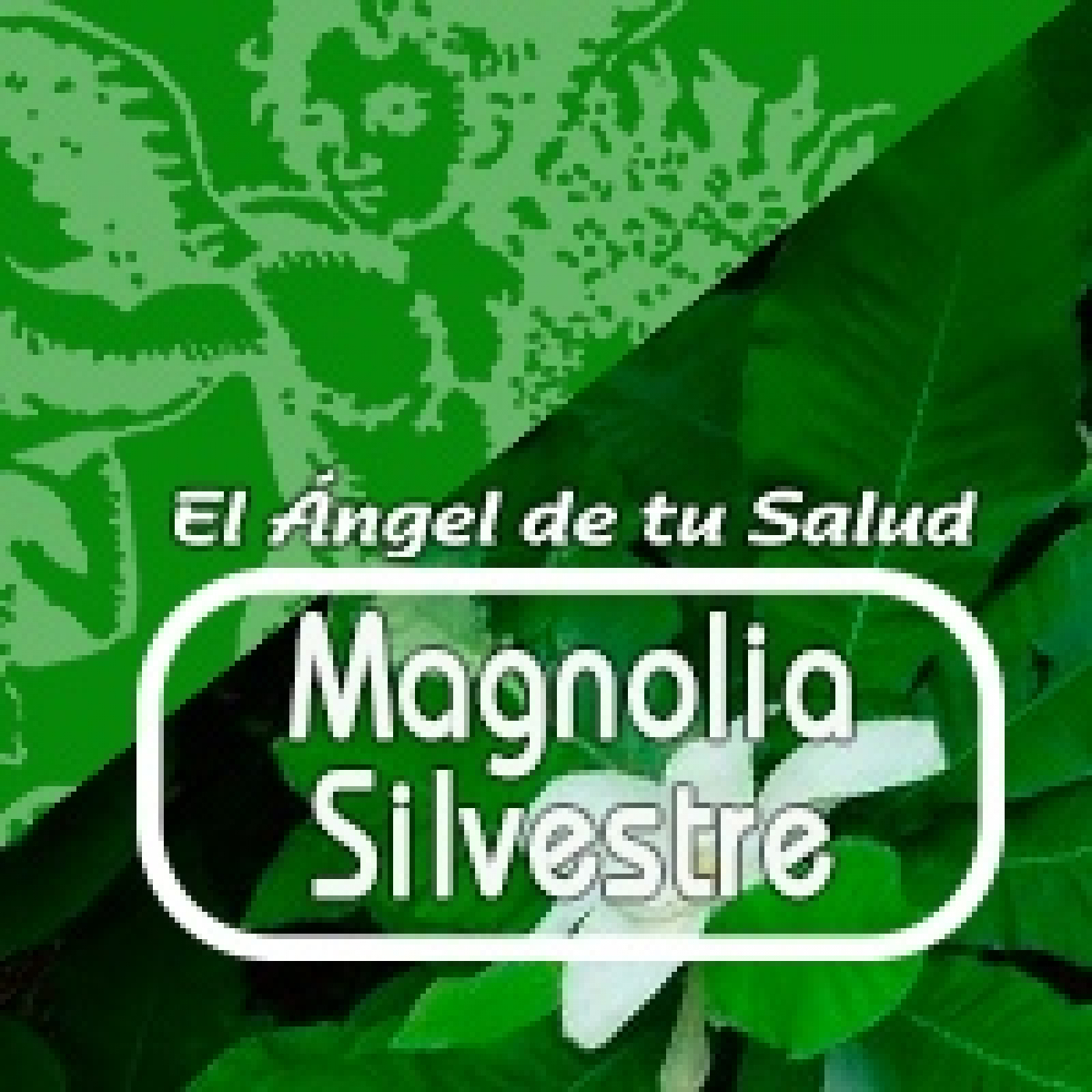 El Angel de tu Salud - MAGNOLIA DE SILVESTRE episode artwork