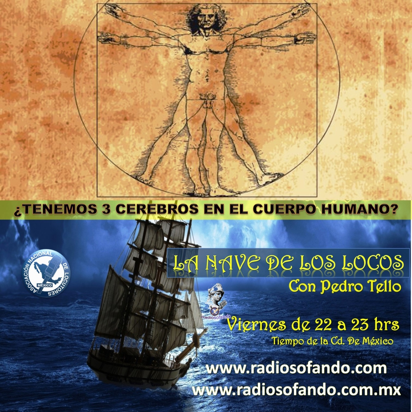 La Nave de los Locos_¿TENEMOS 3 CEREBROS EN EL CUERPO HUMANO?_26-07-24 episode artwork