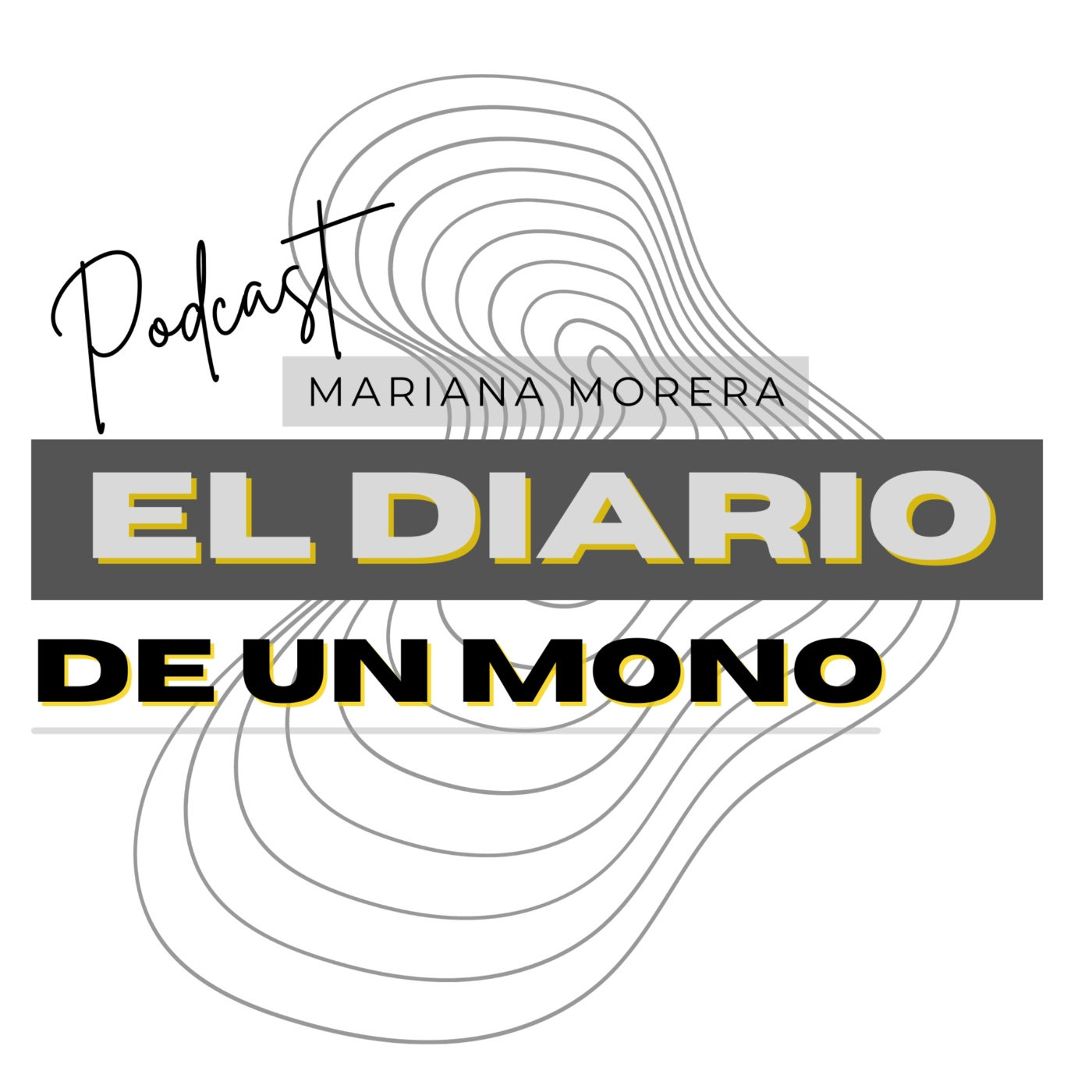 El Diario de un artista